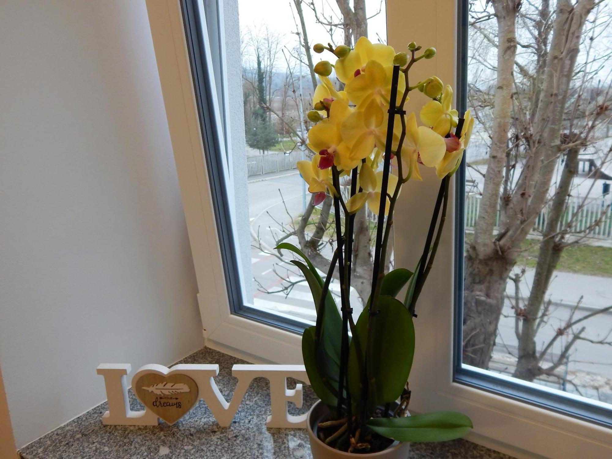 Guesthouse Pr'Sefu Brezice Room photo